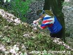 DSCF2047